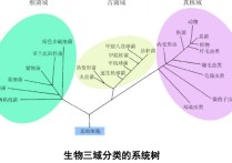 你怎么看生物三域分類理論 三域分類學(xué)說名詞解釋