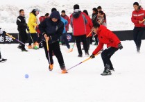 冰雪運動有哪些 關(guān)于冰雪運動的知識清單