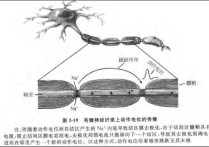 什么是閾上電離 有效刺激與閾電位關(guān)系