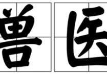 自學(xué)獸醫(yī)需要看什么書籍 官方獸醫(yī)要學(xué)哪幾部分知識