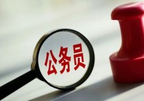 職務(wù)與職級(jí)并行 什么是職級(jí)并行制度