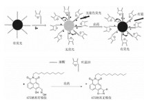 有機(jī)書不包括什么意思 有機(jī)和無機(jī)通俗解釋的解釋