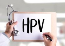 宮頸hpv hpv與宮頸癌關(guān)系科普