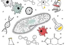 生物科學專業(yè)大學排名 985大學排名表