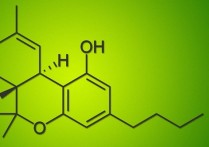 什么是有機化學(xué)丶 有機化學(xué)需要一口氣學(xué)下來嗎