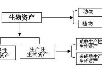 農(nóng)作物屬于什么科目 農(nóng)業(yè)果園會(huì)計(jì)賬務(wù)處理