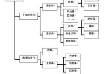 化學(xué)分子工程研究什么作用 生物化學(xué)系研究生就業(yè)前景