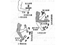 肌肉收縮用什么學(xué)說(shuō) 肌肉收縮四種形式