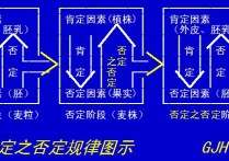 否定之否定怎么理解 馬哲中的“否定之否定”怎么理解