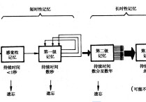 記憶心理學(xué)特點是什么 心理學(xué)中記憶與學(xué)習(xí)有什么聯(lián)系